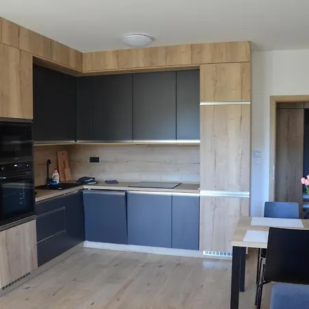 Visit Sauna Klinovec Appartamento *