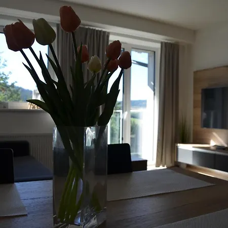 Visit Sauna Klinovec Loučná pod Klínovcem