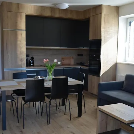 Visit Sauna Klinovec Appartamento Loučná pod Klínovcem