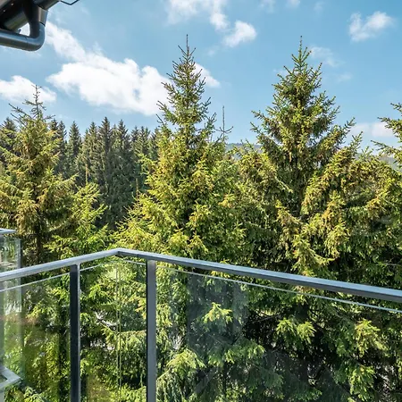 Visit Sauna Klinovec Apartment Loucna pod Klinovcem