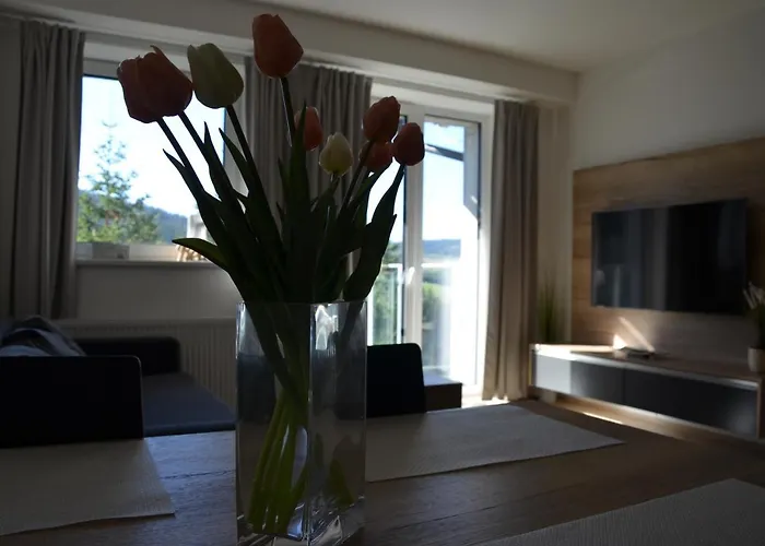 Visit Sauna Klinovec Loucna pod Klinovcem