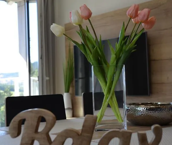 Visit Sauna Klinovec Apartment